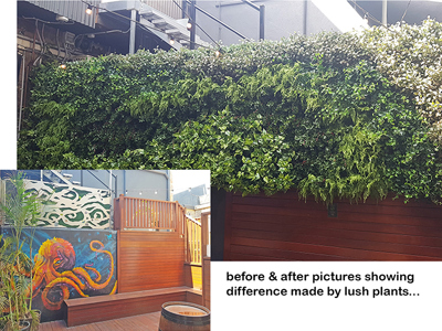 Before & After Shots..... Green-Walls 6